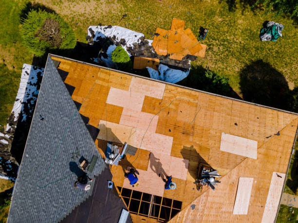 Best Roof Repair Services  in Danville, VA
