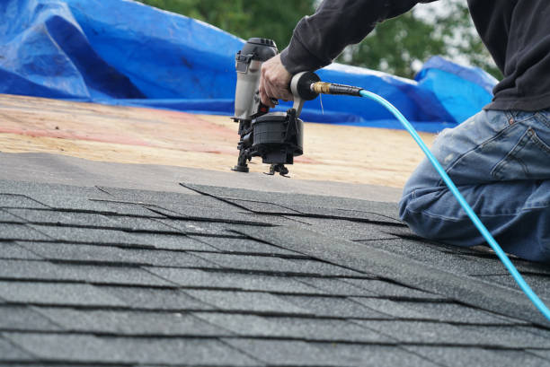 Best Roof Maintenance Services  in Danville, VA