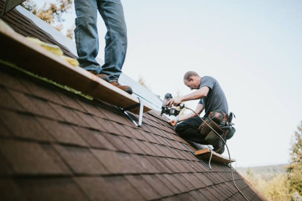 Best Gutter Installation and Roofing  in Danville, VA